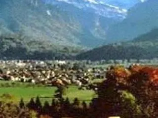 Blume إنترلاكن